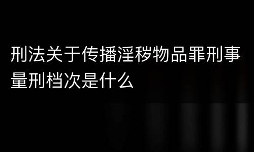 刑法关于传播淫秽物品罪刑事量刑档次是什么