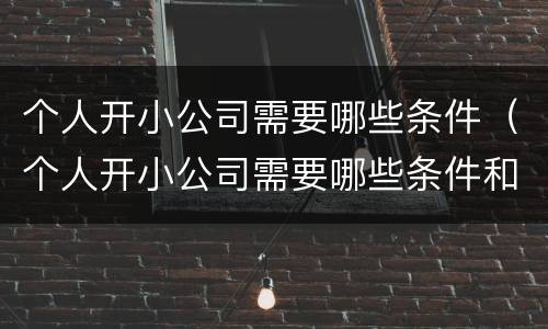 个人开小公司需要哪些条件（个人开小公司需要哪些条件和要求）