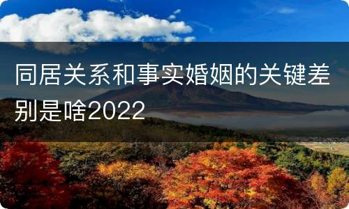 同居关系和事实婚姻的关键差别是啥2022