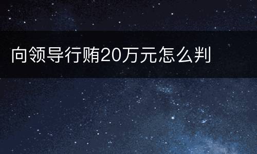 向领导行贿20万元怎么判
