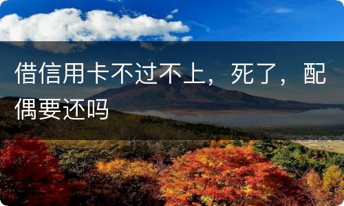 借信用卡不过不上，死了，配偶要还吗