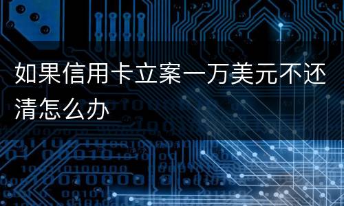 如果信用卡立案一万美元不还清怎么办