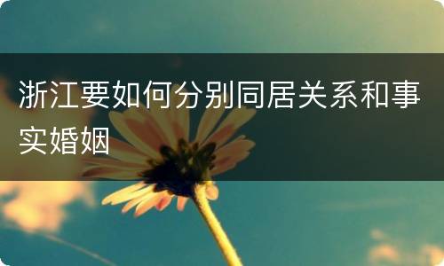 浙江要如何分别同居关系和事实婚姻