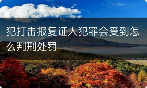 犯打击报复证人犯罪会受到怎么判刑处罚
