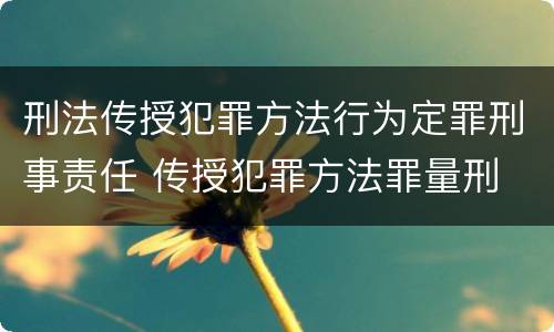 刑法传授犯罪方法行为定罪刑事责任 传授犯罪方法罪量刑