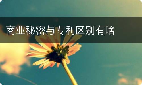 商业秘密与专利区别有啥