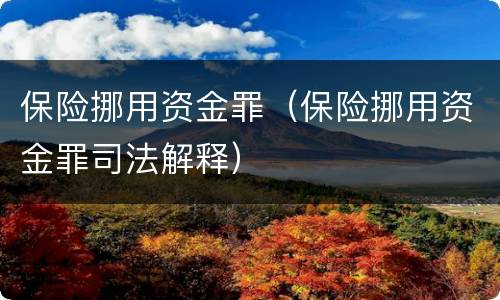 保险挪用资金罪（保险挪用资金罪司法解释）
