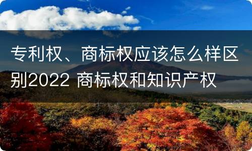 专利权、商标权应该怎么样区别2022 商标权和知识产权