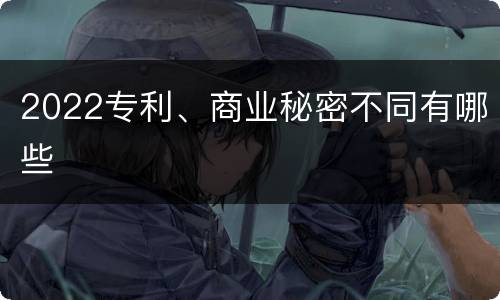 2022专利、商业秘密不同有哪些