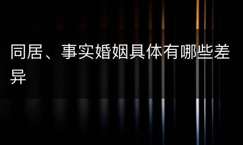 同居、事实婚姻具体有哪些差异
