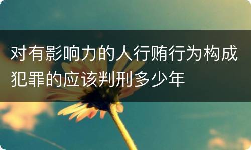 对有影响力的人行贿行为构成犯罪的应该判刑多少年