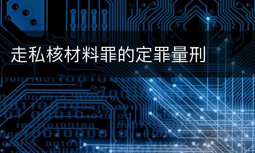 走私核材料罪的定罪量刑