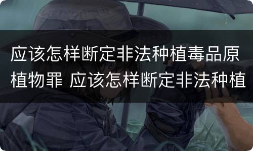 应该怎样断定非法种植毒品原植物罪 应该怎样断定非法种植毒品原植物罪名