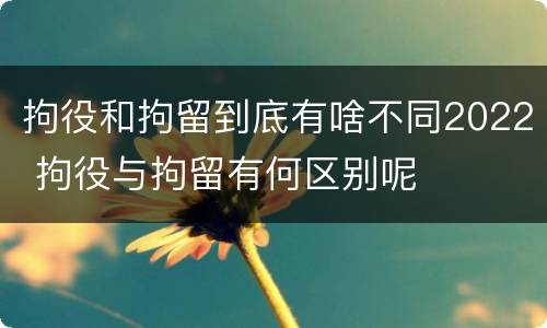 拘役和拘留到底有啥不同2022 拘役与拘留有何区别呢