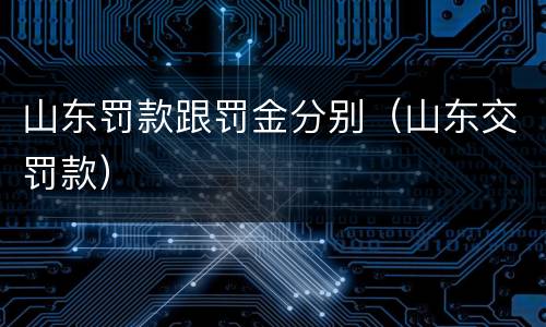 山东罚款跟罚金分别（山东交罚款）