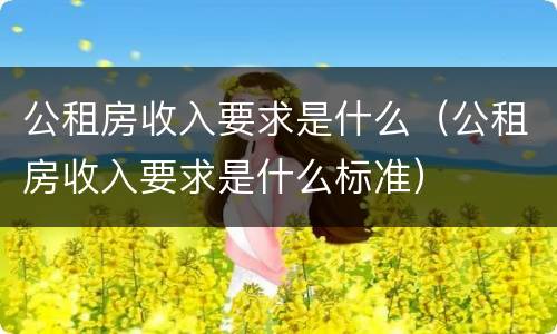 公租房收入要求是什么（公租房收入要求是什么标准）