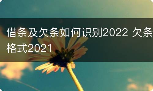 借条及欠条如何识别2022 欠条格式2021