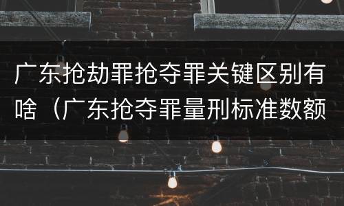 广东抢劫罪抢夺罪关键区别有啥（广东抢夺罪量刑标准数额）