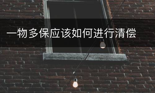 一物多保应该如何进行清偿