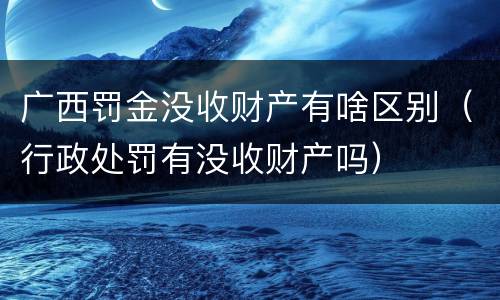 广西罚金没收财产有啥区别（行政处罚有没收财产吗）