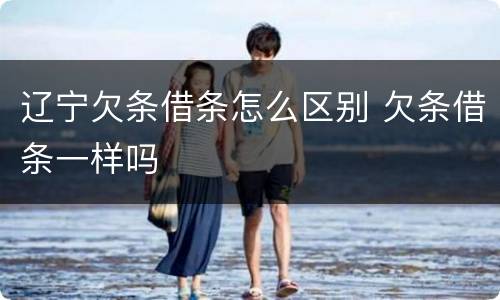 辽宁欠条借条怎么区别 欠条借条一样吗