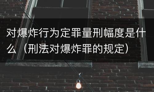 对爆炸行为定罪量刑幅度是什么（刑法对爆炸罪的规定）