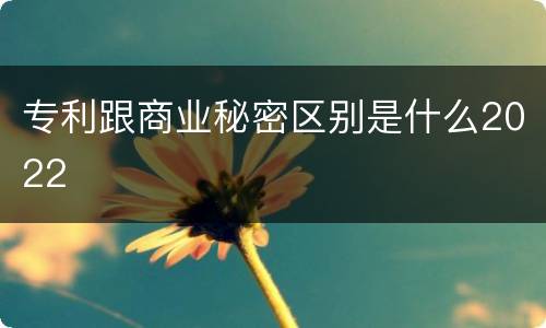 专利跟商业秘密区别是什么2022