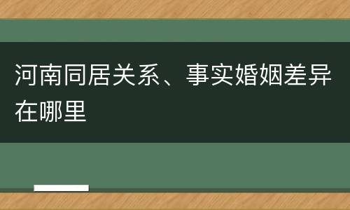 河南同居关系、事实婚姻差异在哪里