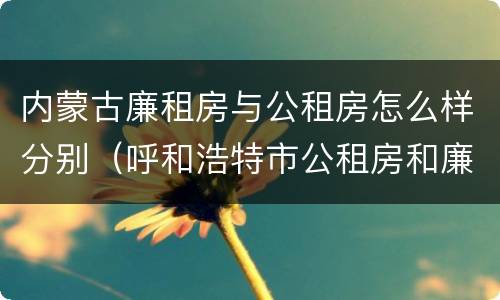 内蒙古廉租房与公租房怎么样分别（呼和浩特市公租房和廉租房的区别）