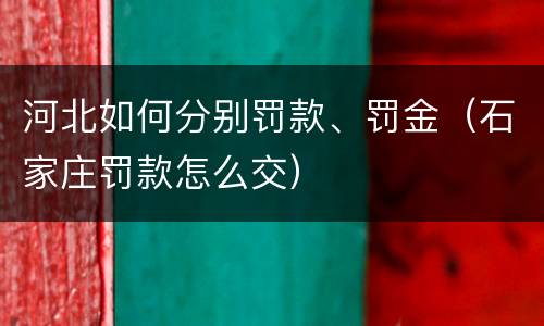 河北如何分别罚款、罚金（石家庄罚款怎么交）