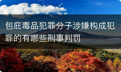 包庇毒品犯罪分子涉嫌构成犯罪的有哪些刑事判罚