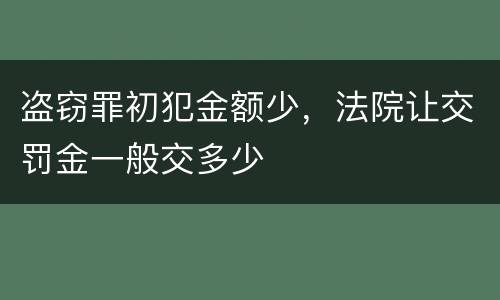 盗窃罪初犯金额少，法院让交罚金一般交多少