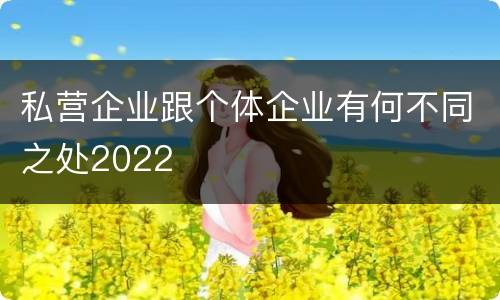 私营企业跟个体企业有何不同之处2022