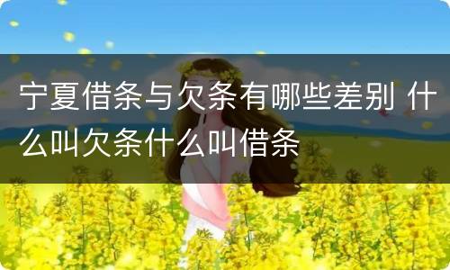 宁夏借条与欠条有哪些差别 什么叫欠条什么叫借条