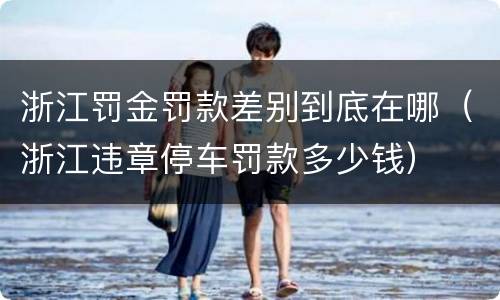 浙江罚金罚款差别到底在哪（浙江违章停车罚款多少钱）