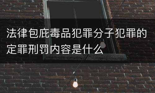 法律包庇毒品犯罪分子犯罪的定罪刑罚内容是什么