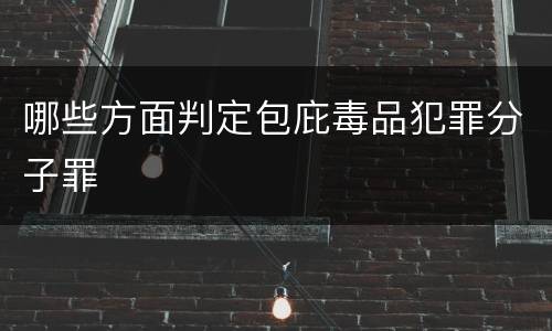 哪些方面判定包庇毒品犯罪分子罪