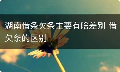 湖南借条欠条主要有啥差别 借欠条的区别