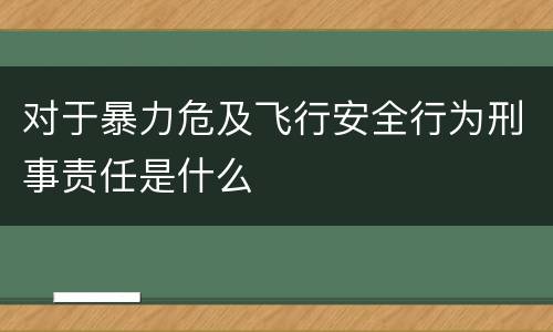 对于暴力危及飞行安全行为刑事责任是什么