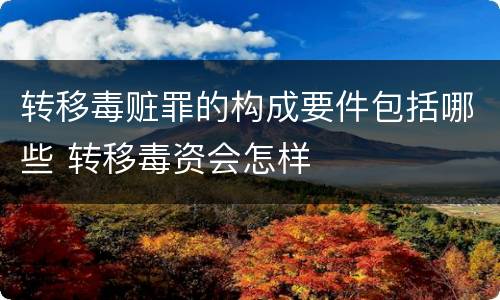 转移毒赃罪的构成要件包括哪些 转移毒资会怎样