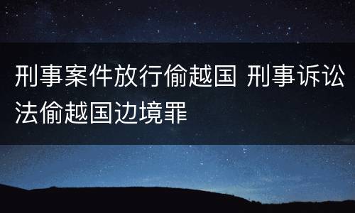 刑事案件放行偷越国 刑事诉讼法偷越国边境罪
