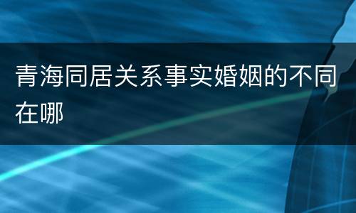 青海同居关系事实婚姻的不同在哪