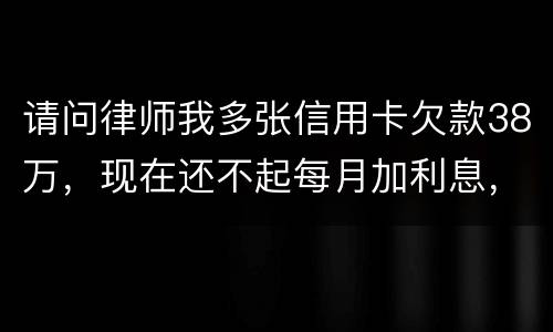 请问律师我多张信用卡欠款38万，现在还不起每月加利息，我怎么可以协商还银行