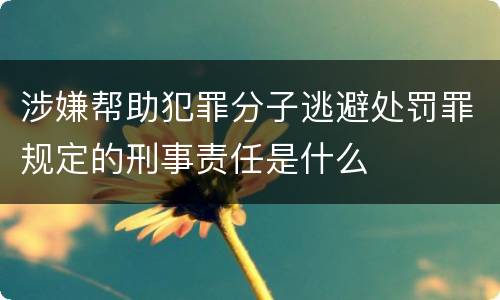 涉嫌帮助犯罪分子逃避处罚罪规定的刑事责任是什么