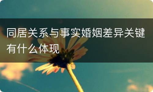 同居关系与事实婚姻差异关键有什么体现