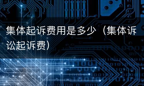 集体起诉费用是多少（集体诉讼起诉费）
