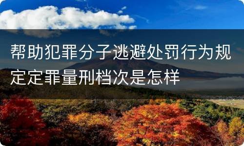 帮助犯罪分子逃避处罚行为规定定罪量刑档次是怎样