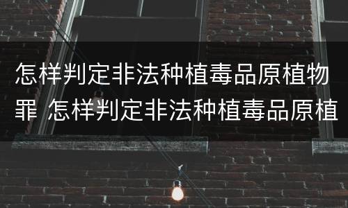 怎样判定非法种植毒品原植物罪 怎样判定非法种植毒品原植物罪