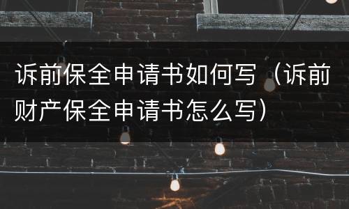 诉前保全申请书如何写（诉前财产保全申请书怎么写）