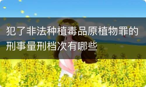 犯了非法种植毒品原植物罪的刑事量刑档次有哪些